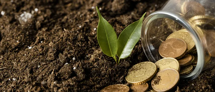 España y el pistacho: crecimiento, límites y realidad del productor en 2025