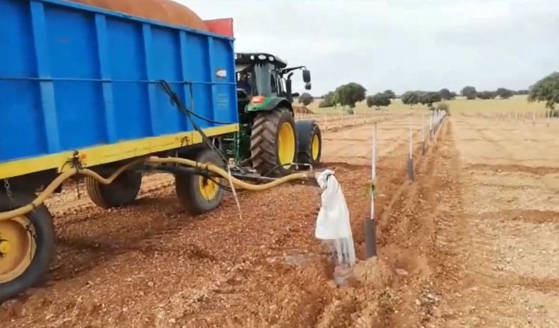 El pistacho en regadío se dispara en España con nuevas 7.373 hectáreas 