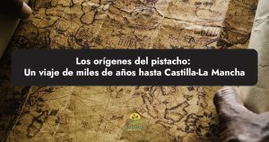 Los orígenes del pistacho: un viaje de miles de años hasta Castilla-La Mancha